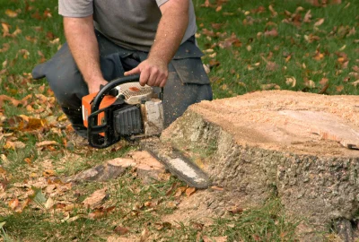 Person using a chainsaw to cut through a large tree stump on a grassy lawn.