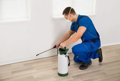 Tips-to-control-pests-before-moving-in-scaled