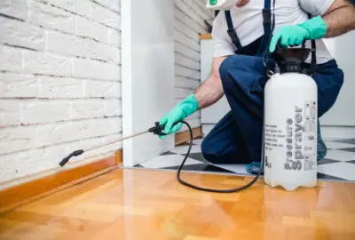 Professional in protective gear using a pressure sprayer along a wall's baseboard.