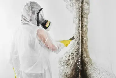 Person in a white hazmat suit, respirator, and yellow gloves scraping black mold off a white wall with a scraper.