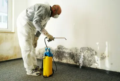 Person in protective gear sprays a chemical solution onto a wall covered with black mold.