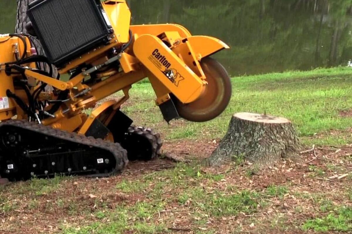 *   Image content: A yellow tracked stump grinder (branded "Carlton") positioned next to a tree stump in a grassy/wooded area
