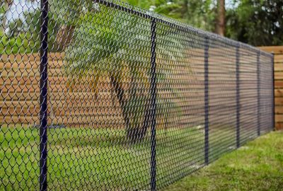 *   Image: A black chain-link fence running diagonally across the frame.
    *   Background: Green grass in the foreground, a