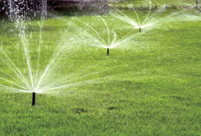 Pop-up sprinklers watering a lush green lawn.