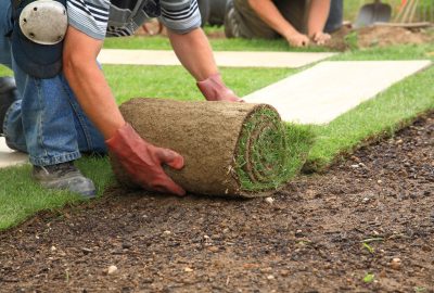Person in red gloves laying a roll of grass turf onto soil.