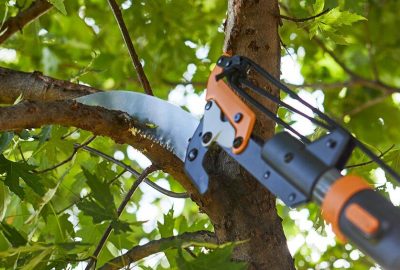 An orange and black pole saw cutting through a tree branch amidst green leaves.