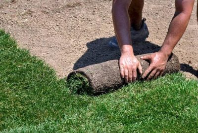 A person unrolling a roll of green sod onto a dirt patch to create a new lawn.