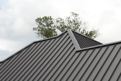 Grey standing seam metal roof with a peaked ridge against an overcast sky.