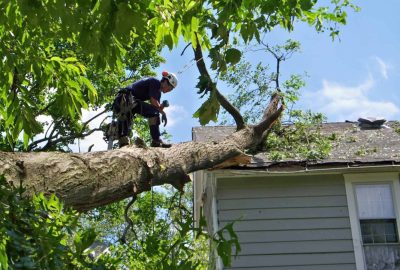 Arborist in safety gear standing on a large tree trunk that has fallen onto a house roof.