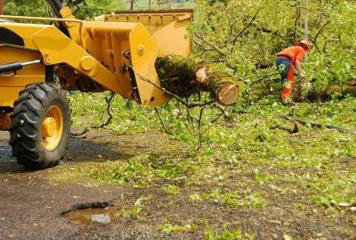 Yellow loader lifting a fallen tree trunk on a road with a worker in orange safety gear in the background.