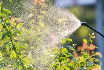 A sprayer nozzle spraying a fine mist onto green garden plants.