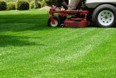 Red riding lawn mower cutting a lush, green lawn.