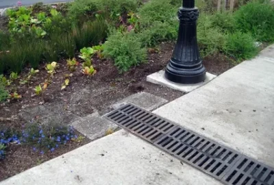 Metal storm drain grate embedded in a concrete sidewalk next to a garden bed and lamp post.