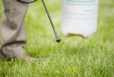 Close-up of a sprayer wand treating a green grass lawn.