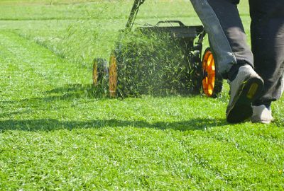 Person mowing a lush green lawn with grass clippings flying from the mower.