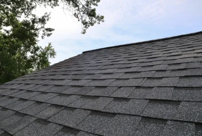 Low angle view of dark gray asphalt shingles on a residential roof under a pale sky with green tree branches.