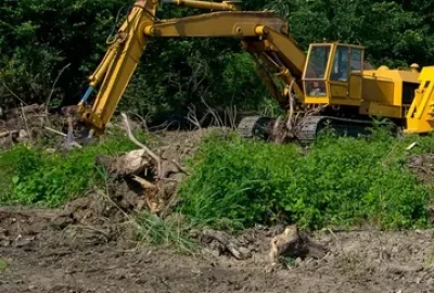 Yellow tracked excavator on a dirt site with green vegetation and trees in the background.