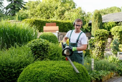A gardener in protective gear using a motorized hedge trimmer to shape a round bush in a lush garden.