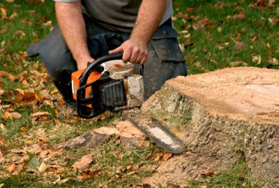 Person using an orange chainsaw to cut into a tree stump on a grassy lawn.