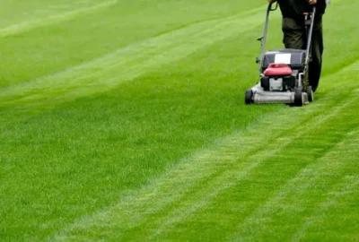 A person pushing a lawnmower across a lush green lawn, leaving neat stripes.