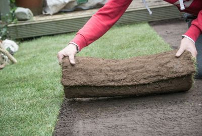 Person laying a roll of sod on bare soil.