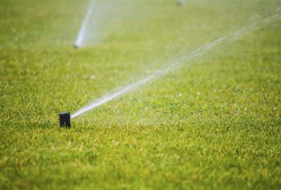 A pop-up sprinkler spraying water across a lush green lawn.