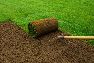 Roll of sod being laid on prepared soil next to a green lawn with a garden rake.
