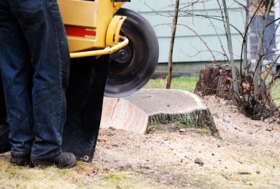 A worker using a yellow stump grinder to grind down a tree stump.
