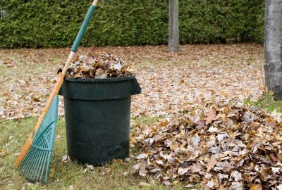 yard-waste-weekend